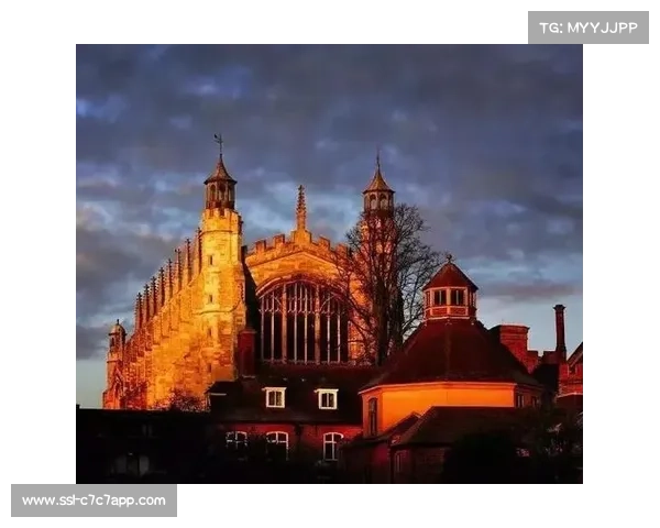 拳击文化内涵:超越功利的体育精神价值